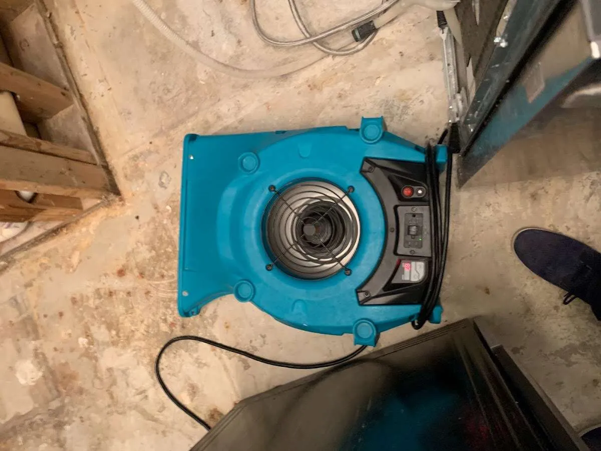 Air mover drying equipment for Mold Remediation & Removal in Dyersburg